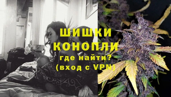 шишки Армянск
