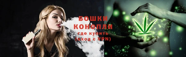 шишки Армянск