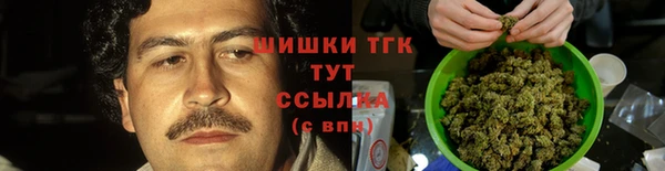 шишки Армянск