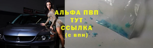 шишки Армянск
